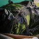 thumbnail image 3 of Pee Cloth for Women Hiking Reusable Absorbent Wipe Pee Rag Female Urinal Cloth, 3 of 4