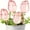 Pink, variant on 4 Pack Self-Watering Plant Spikes, Automatic Watering System for Potted Plants, Vacation Plant Care,9.5" Tall,Tulip Design,Indoor & Outdoor Potted Plants,Pink.
