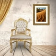 thumbnail image 3 of Rotenberg, Nancy 17x24 Gold Ornate Wood Framed with Double Matting Museum Art Print Titled - Utah, Monument Valley Sand dunes with Totem Pole, 3 of 4