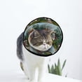 thumbnail image 1 of Farmhouse Landscape Soft Cat Dog Recovery Collar Adjustable Cat Cone Wound Healing Protective After Surgery for Large/Medium/Small Dogs Cat, 1 of 7