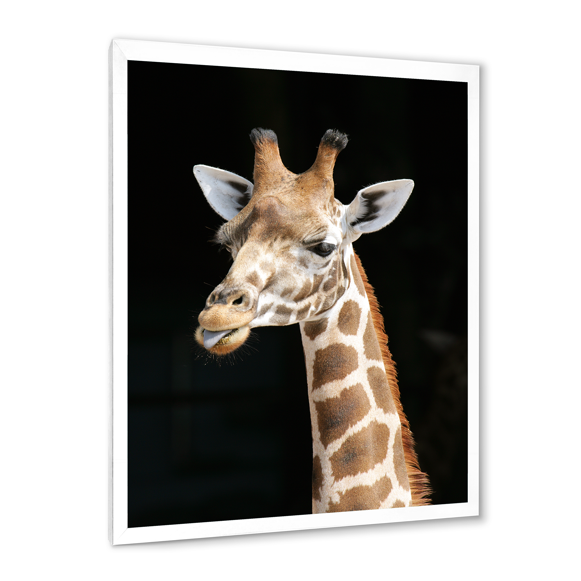 Designart 'Close Up Portrait Of A Giraffe On Black III' Farmhouse Framed Art Print