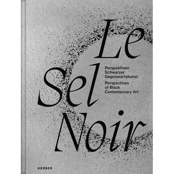 Le Sel Noir: Perspectives of Black Contemporary Art (Paperback)