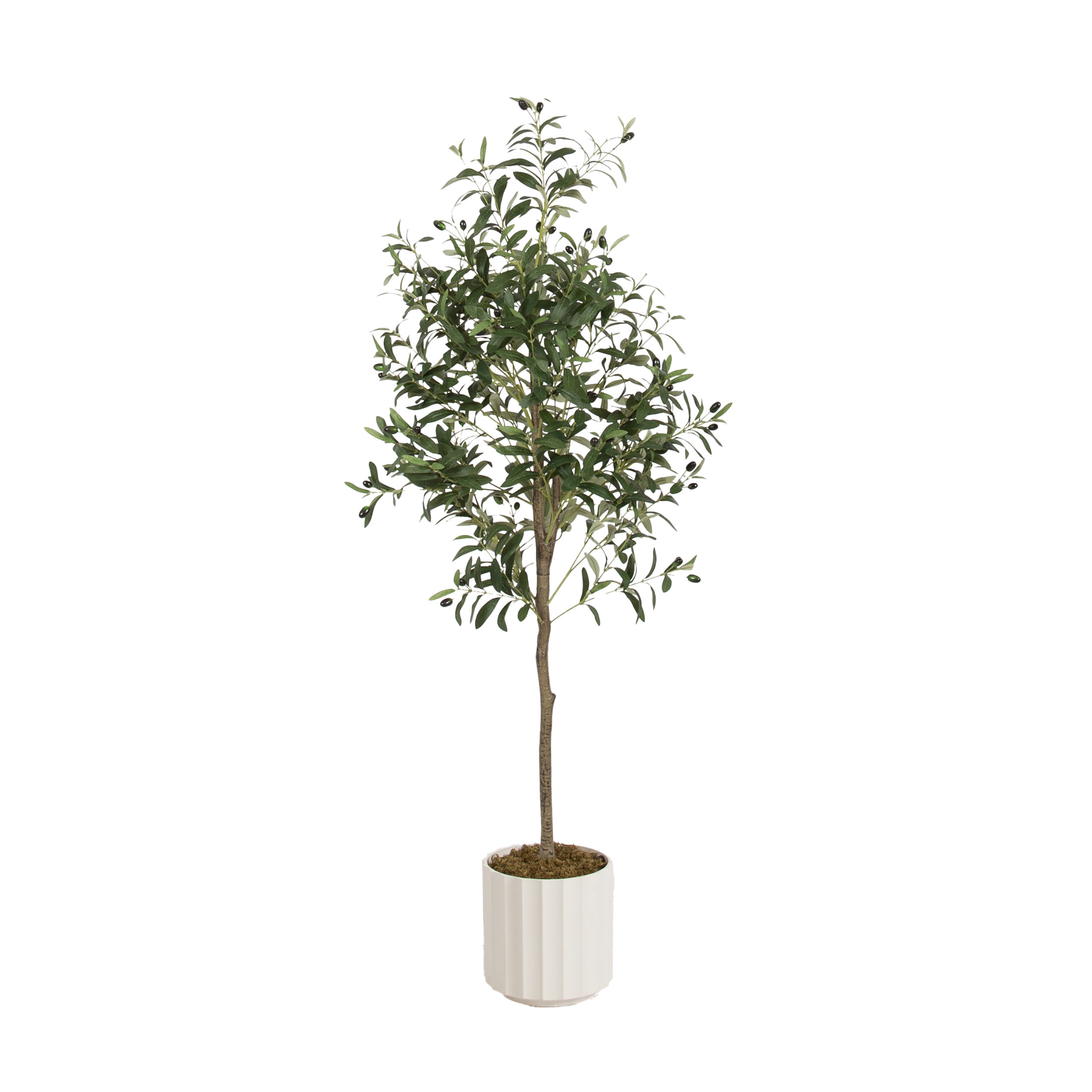Kate and Laurel Oliveira Faux Olive Tree with Jibbs Scalloped Planter Pot, 5 FT, White, Potted Artificial Olive Plant Tree with Realistic Foliage and Added Moss, Fake Plant for Living Room Decor