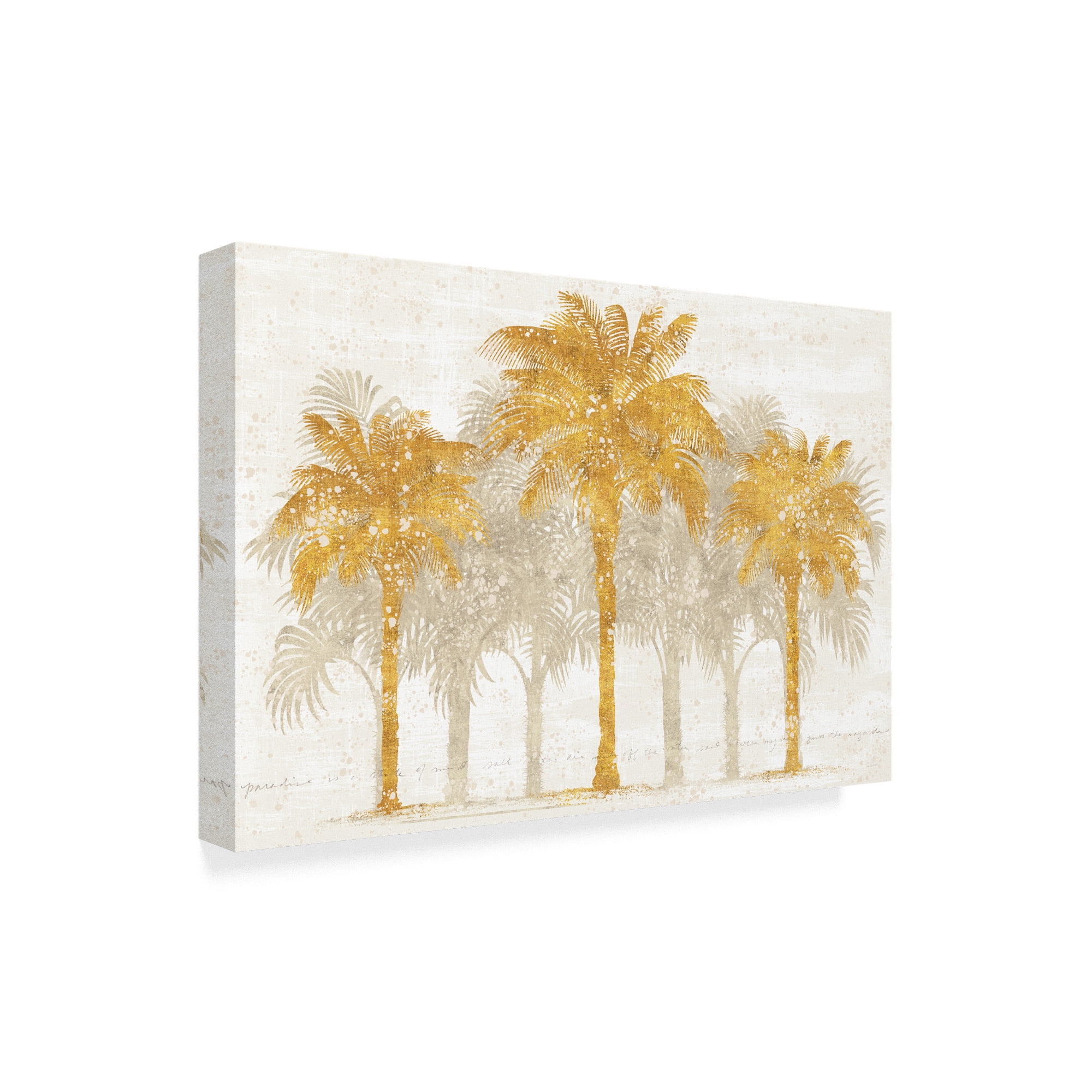 Trademark Fine Art 'Palm Coast I' Canvas Art by Sue Schlabach