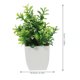 thumbnail image 5 of Moluckfu 4Ud Planta Decorativa Artificial En Maceta Para Escritorio Y Espacios Interiores, 5 of 6