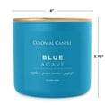 thumbnail image 3 of Colonial Candle Pop of Color Blue Agave Scented Jar Candle, 3 Wick, 14.5 oz, 80 Hours Burn, Water, 3 of 5