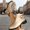 Gold, variant on Women Versatile Plus Size Ankle Boots,Round Toe Buckle Strap,Side Zipper,Low Block Heel,Comfortable Cushioned Insole,Breathable Knit Upper,Casual Daily Wear,Outdoor and Leisure Shoes Black