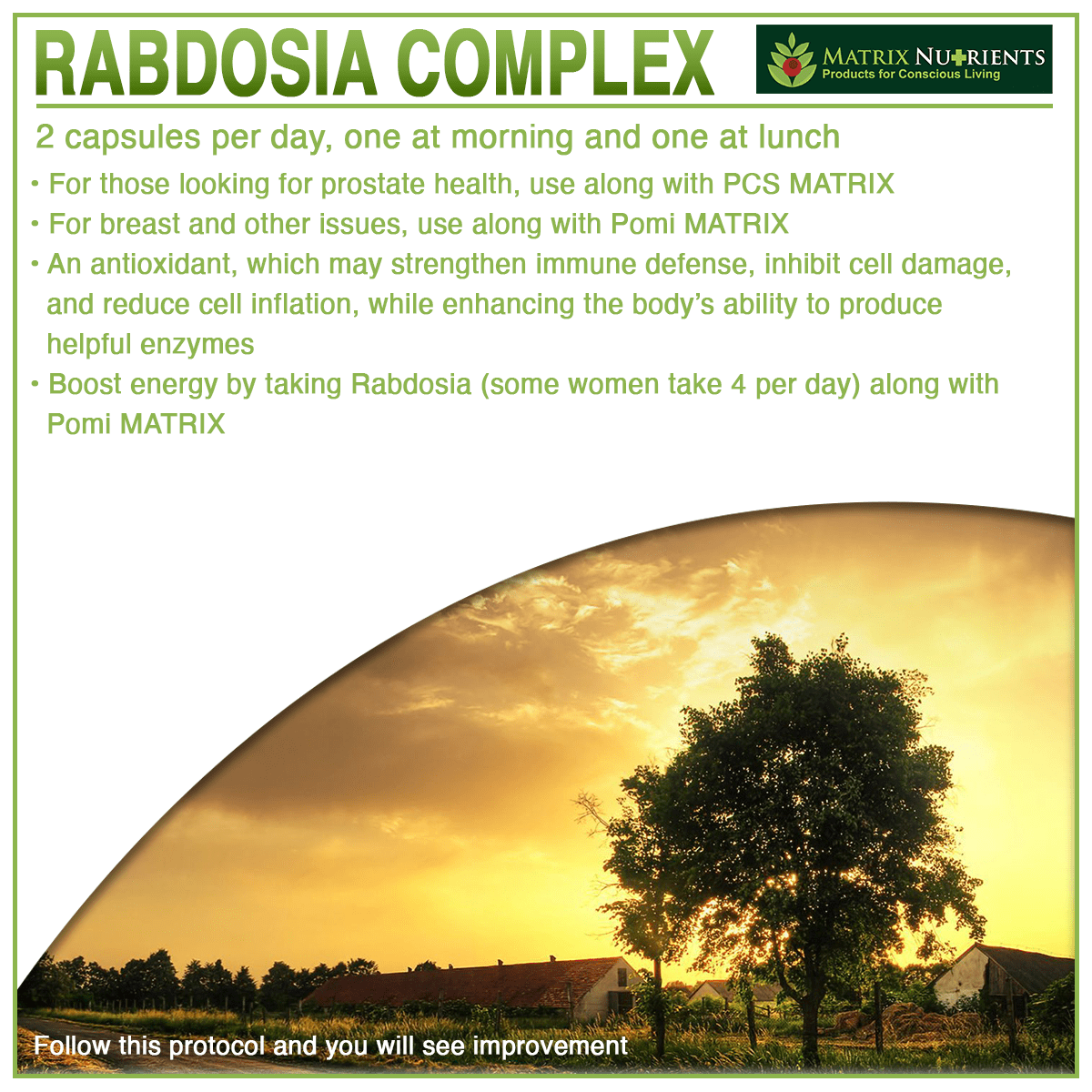 RABDOSIA Complex - Highly Potent Antioxidant for Maximum Cell Protection! - 100% Natural Ingredients: Rabdosia Extract, Green Tea, Resveratrol, Rutin - Vegan Capsules (60ct)