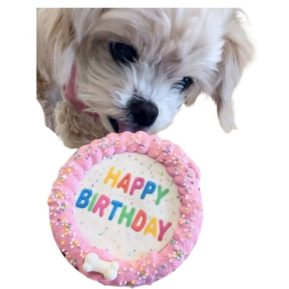 DEZICAKES Crispy Vanilla Pink Dog Birthday Cake- Edible Puppy Party Crispy Vanilla Rice Cake Perfect Dog Party Cake Boxed,Iced and Decorated