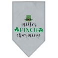 thumbnail image 1 of Mister Pinch Charming Screen Print Bandana Grey Large, 1 of 1