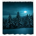 thumbnail image 3 of Ambesonne Night Shower Curtain, Tranquil Snowy Woodland, 69"Wx70"L, Turquoise Teal White, 3 of 3