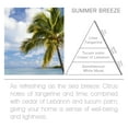 thumbnail image 3 of Acqua Aroma Summer Breeze Reed Diffuser 8.1 FL OZ (240ml)  Gift Set, 3 of 4