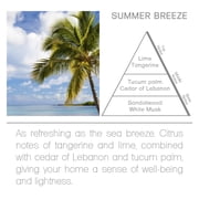 Acqua Aroma Summer Breeze Room Fragrance Spray 2.0 FL OZ (60ml) Tangerine and Lime scent