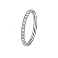 thumbnail image 1 of GFHFHITJ Nose Ring Titanium Nose Rings, Hoops Septum Rings Hinged Segment Ring Lip Ear Piercing Earrings for Cartilage Tragus Conch Lobe Inner Diameter（sliver）, 1 of 2