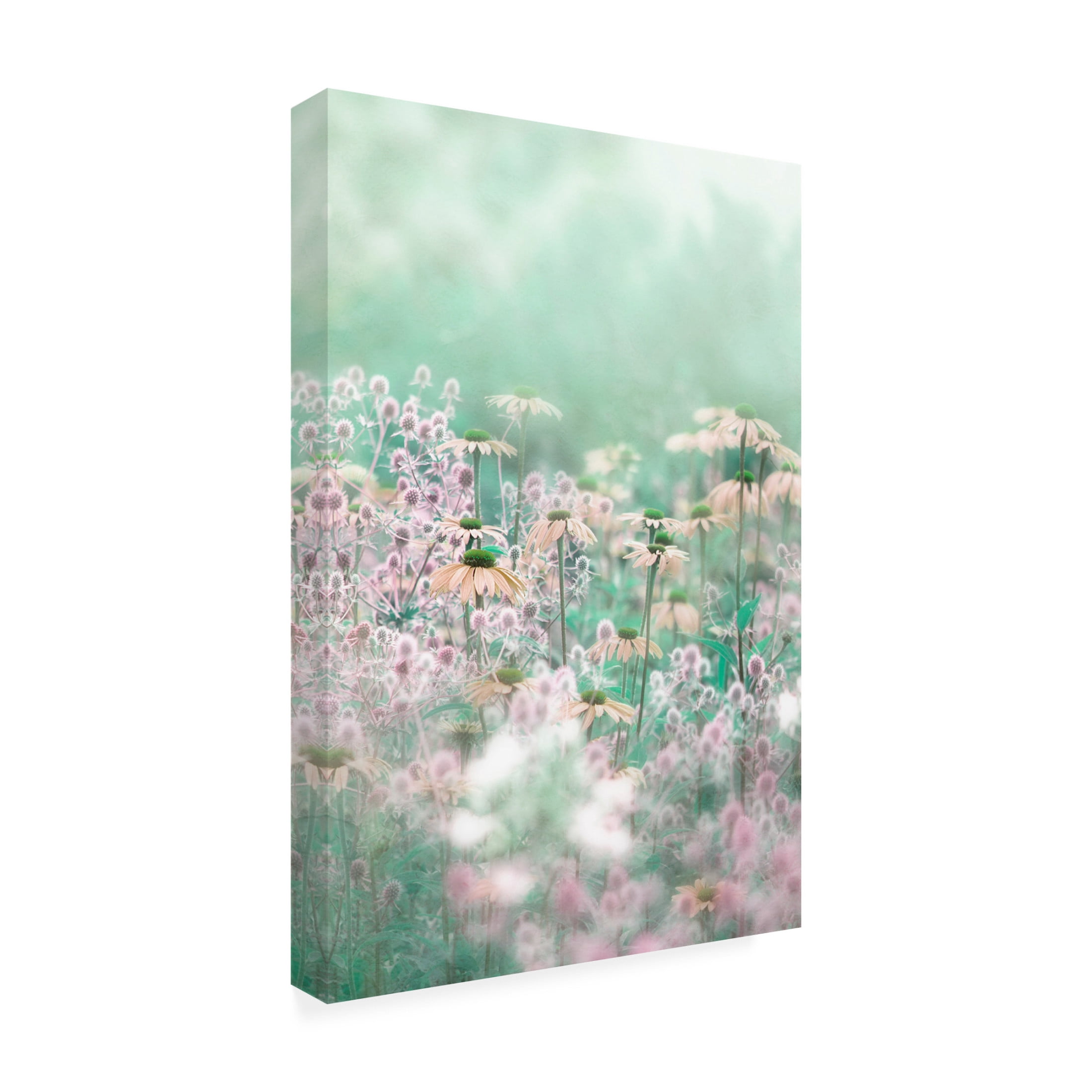 Trademark Fine Art Jacky Parker Melody Canvas Wall Art