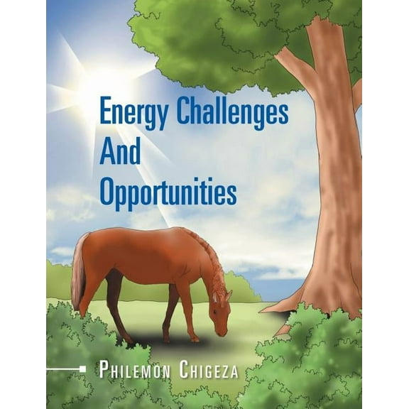 Energy Challenges And Opportunities (Paperback)