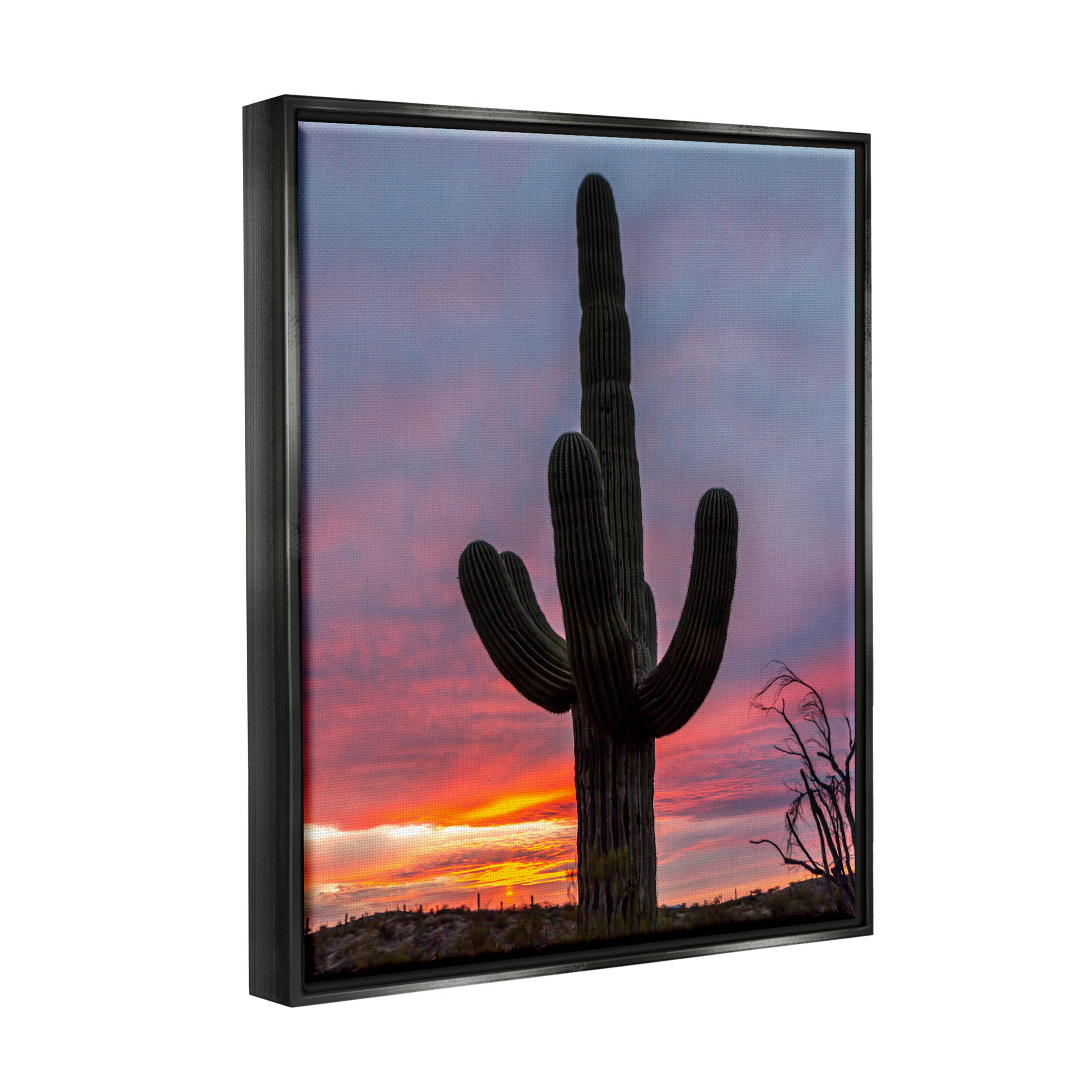 Looming Desert Cactus Silhouette Landscape Photograph Jet Black Framed Art Print Wall Art