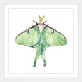 thumbnail image 3 of Marmont Hill "Luna Moth" by Rachel Byler Framed Painting Print, 3 of 5