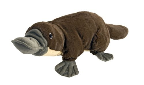 platypus plush