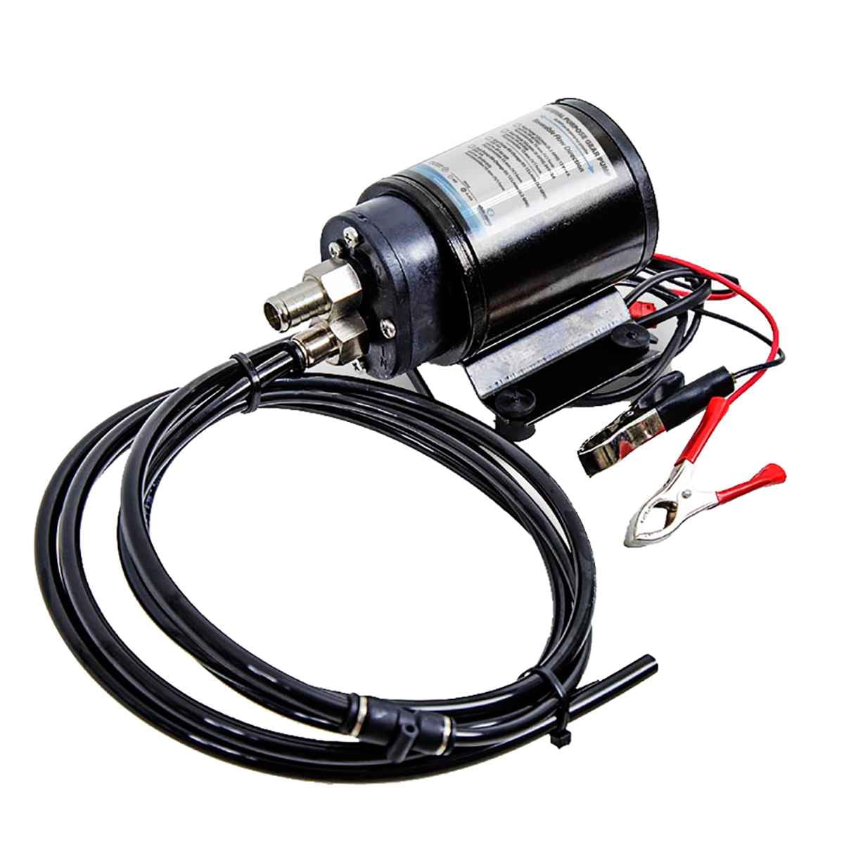 Albin Pump Marine Gear Pump Oil Change Kit 12v