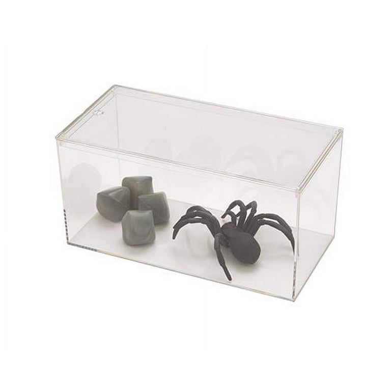 Buy Tarantula Glass Enclosure online
