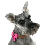 Vibrant Life Flower Dog Collar Clip Set, Medium/Large