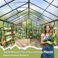 thumbnail image 5 of NETAJE 16'x10' Outdoor Greenhouse, Walk-in Polycarbonate Green House with Aluminum Frame for Backyard, 5 of 6