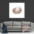 thumbnail image 7 of Epic Art "Bird Life IV" by Ethan Harper, Acrylic Glass Wall Art, 36"x36", 7 of 7