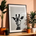 thumbnail image 3 of Baby Giraffe - Photography Animal Wildlife Black and White Minimalist Nature Portrait Surrealism Black Framed Wall Art Print 24 x 36 inches, 3 of 8