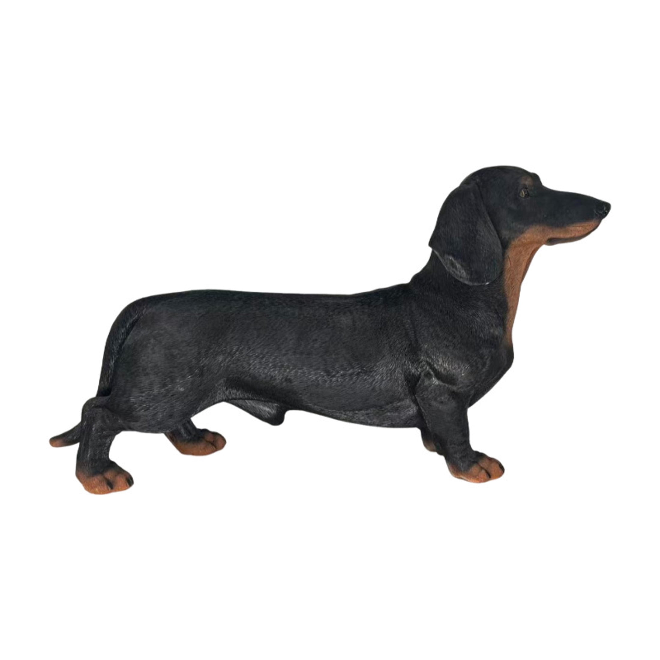 GDF Studio Dachshund Resin Indoor/Outdoor Guardian Statue, Weather-Resistant Decor Figurine for Garden & Courtyard