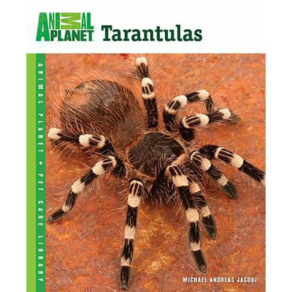 Pre-Owned Tarantulas (Paperback) 0793837103 9780793837106