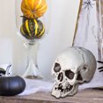 thumbnail image 4 of Guozer Realistic Plastic Skull Skeleton Head Prop for Halloween Party Decor Spooky Halloween Decoration for Indoor Outdoor Yard Bar, 4 of 5