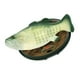thumbnail image 1 of Como se ve en la televisión Big Mouth Billy Bass Singing Sensation Wall Toys Gemmy Industries 36105, 1 of 2