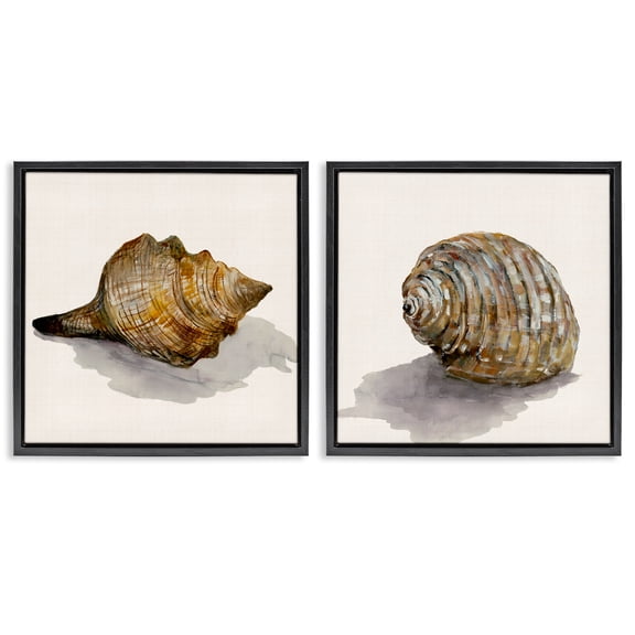 Stupell Industries Neutral Beach Shells Nautical & Beach Painting Black Floater Framed Canvas Art Print Wall Art, 18 x 18, Set of 2