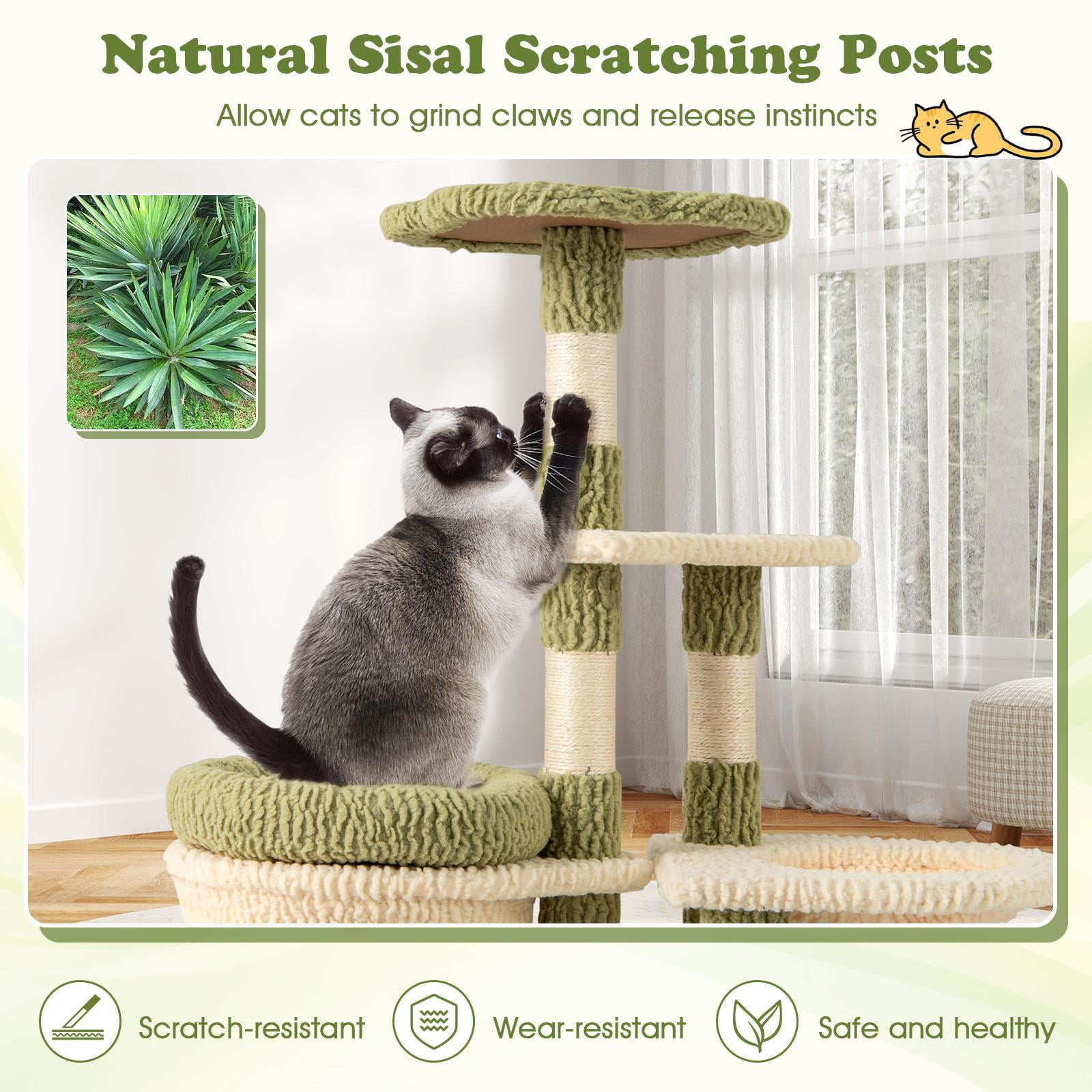 GVN Cat Tree Tower with Condo and Bed, 38 Inch Tall Multi-Level Aesthetic Cat Tree, Cat Scratchers for Indoor Cats, Green