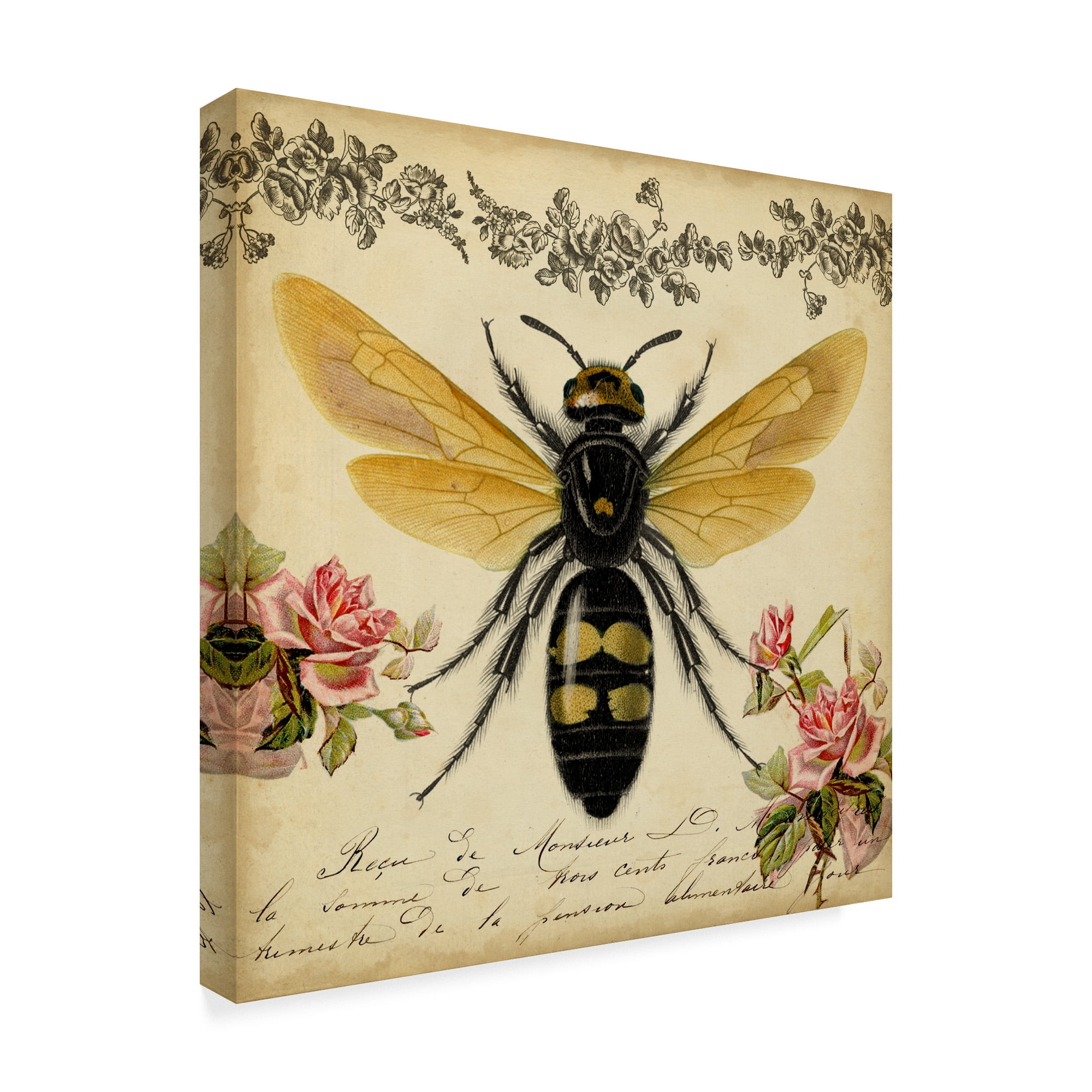 Trademark Fine Art 'From the Rose Garden I' Canvas Art by Vision Studio