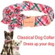 thumbnail image 3 of Collar para perro de estilo único con forma de lazo de algodón blanco y rojo, 3 of 6