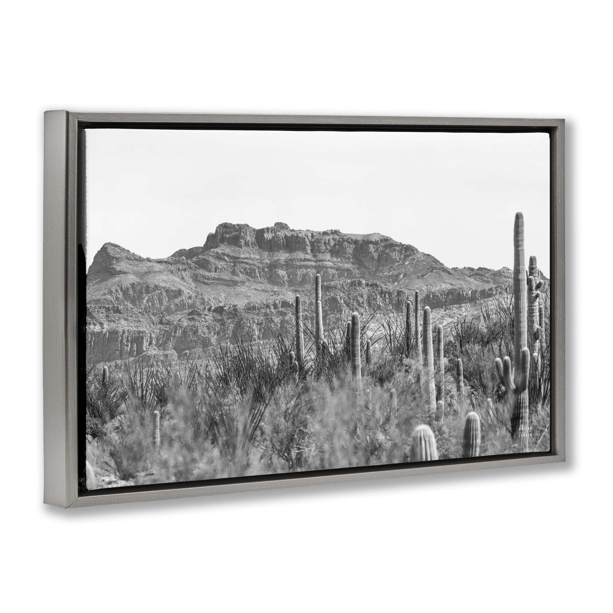 Stupell Industries American Borderlands Desertscape Landscape & Nature Photography Gray Floater Framed Canvas Art Print Wall Art, 25 x 17