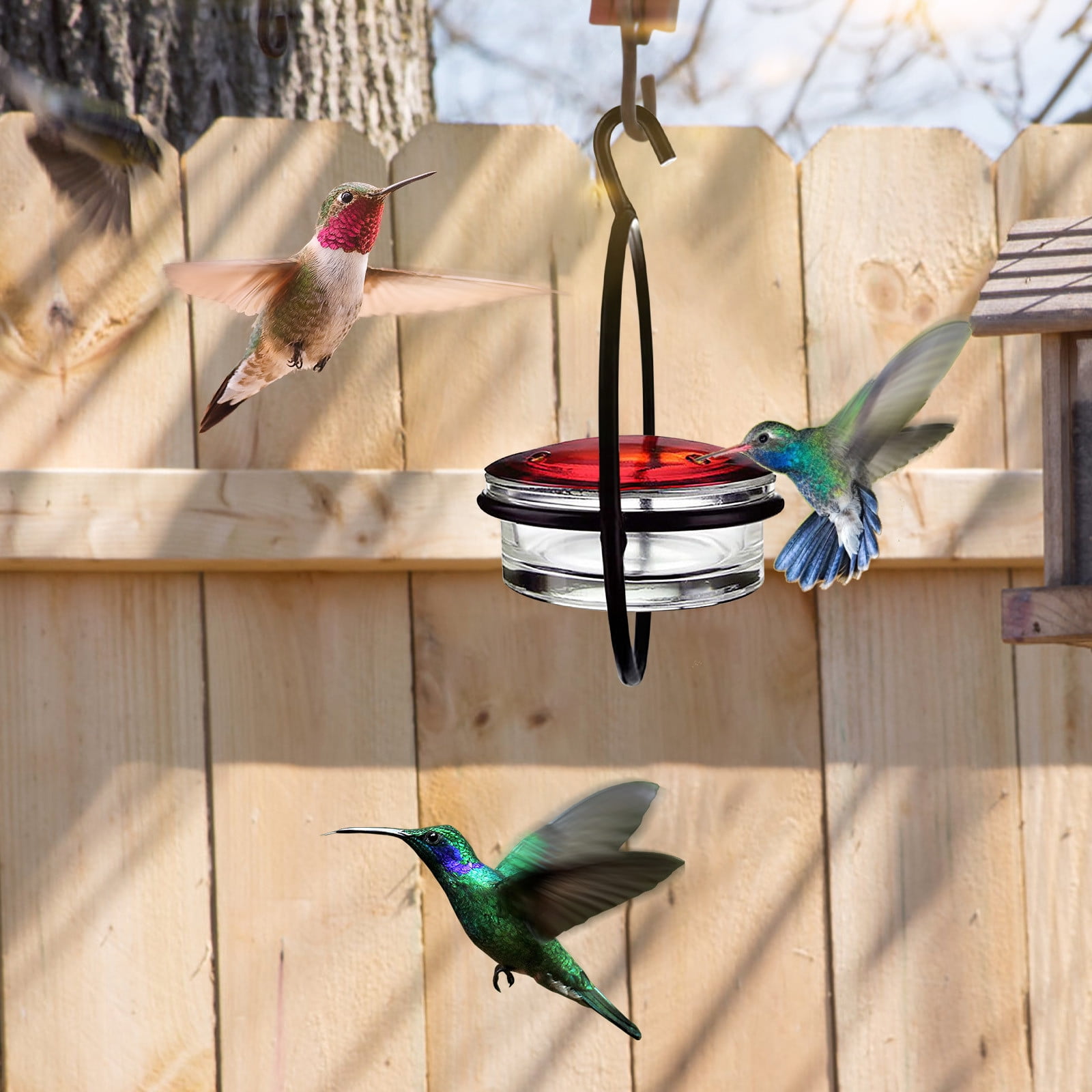 Hummingbird Feeders At Kmart