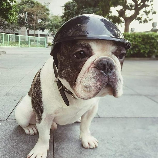 Bulldog motorcycle helmet cheap