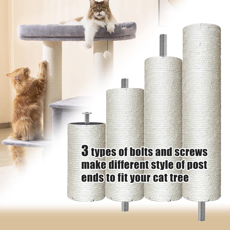 blackwood vs royal canin cat food Blackwood Cat Food – BrightPet main image 1