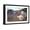 Black Frame, variant on Art.com Pyrenean Mountain Dog Protecting Sheep Photographic Print, 18" x 12"