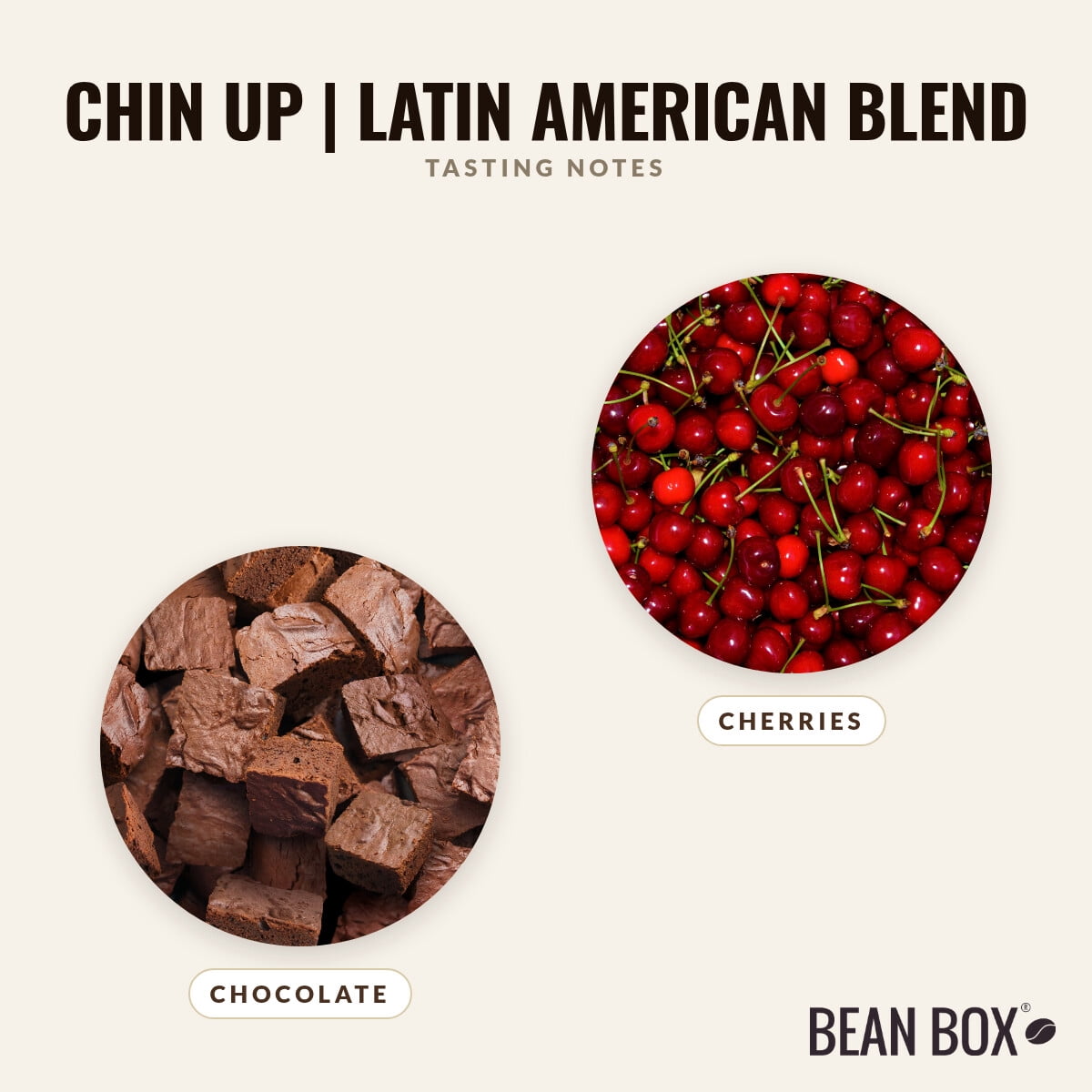 Chin Up Latin American Blend - Roasted by 8th & Roast Coffee Co. - Whole Bean Coffee - 12oz Bag
