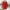 Red, variant on Lenago Rain Jackets for Women Plus Size Solid Color Rain Jacket Outdoor Hooded Windproof Loose With Pocket Coat Hooded Windbreaker on Clearance