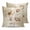 Wheat, variant on 20x20 Pillow Covers Set of 2, Brown Ombre Daisy Throw Pillow Covers Decorative Couch Cushion Case, Farmhouse Vintage Floral Botanical Microfiber Square Pillowcases for Bedroom Car Living Room