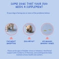 thumbnail image 5 of Coco and Luna Urinary Tract Cranberry for Dogs - 90 Soft Chews, 5 of 9