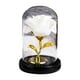 thumbnail image 1 of Oro Rosa Ornamentos de Navidad Vidrio Chapado en Oro Rosa Joyería, Flor Eterna, Regalo de Vacaciones Creativo, Luminoso Llevó Luz Nocturna Regalos de Vacaciones para Mujeres, 1 of 6