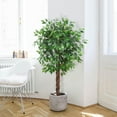 thumbnail image 2 of Accreate Artificial Ficus Tree,Tall Fake Ficus Silk Tree with Natural Wood Trunk in Plastic Nursery Pot for Indoor Outdoor House Living Room Office Garden Decor, 2 of 7