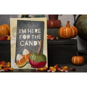 Sizzix Thinlits Dies By Tim Holtz 29/Pkg-Trick Or Treat Colorize