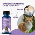 thumbnail image 5 of BestLife4Pets Pet Relax Cat Calming Anxiety Relief - Natural Supplement for Stress Relief, 400 Pills, 5 of 10